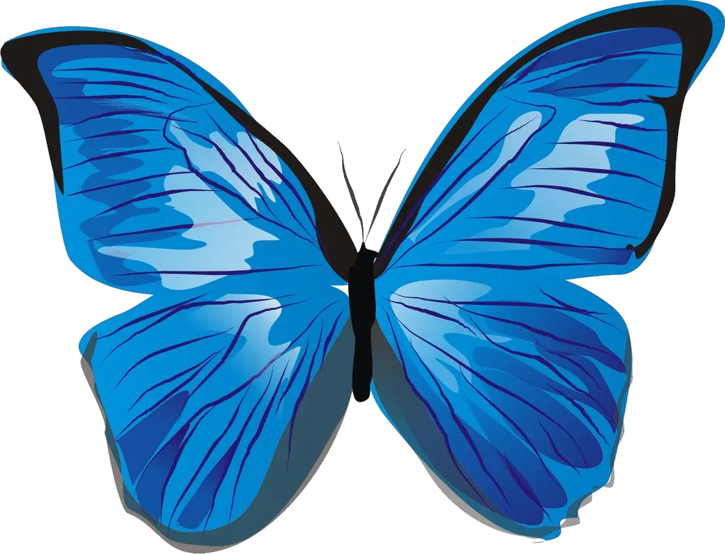 Heart Butterfly Png