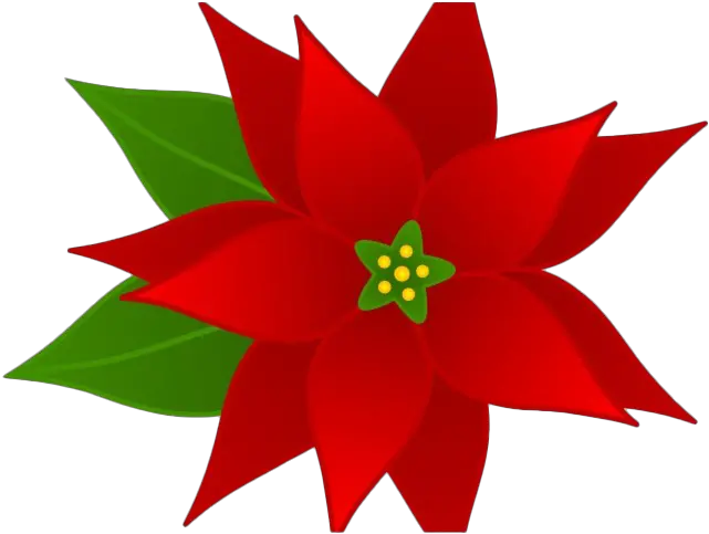 Poinsettia Png Image Mart Poinsettia Clip Art Poinsettia Transparent Background