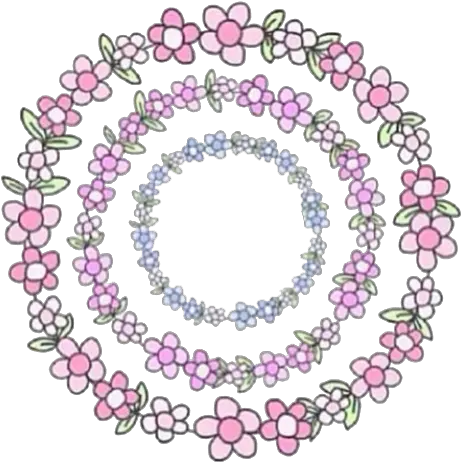 Flower Crown Transparent Overlay Flower Overlay Png Full Make You Trip Out Flower Overlay Png