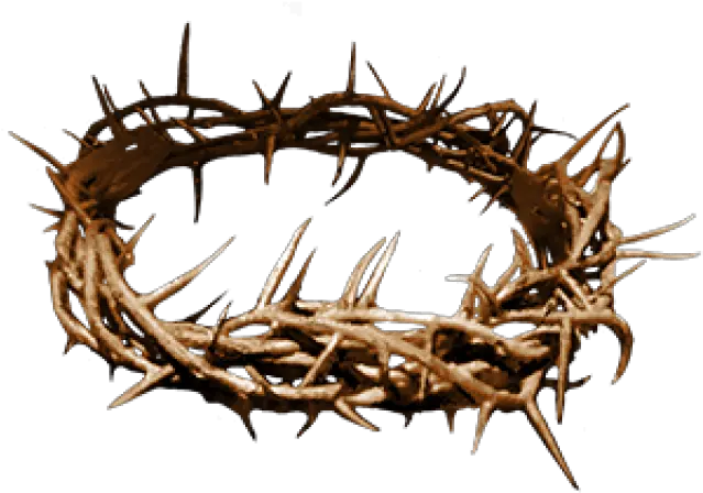 Crown Of Thorns Png Thorns Clipart Crown Thorns Jesus Transparent Crown Of Thorns Png Jesus Silhouette Png