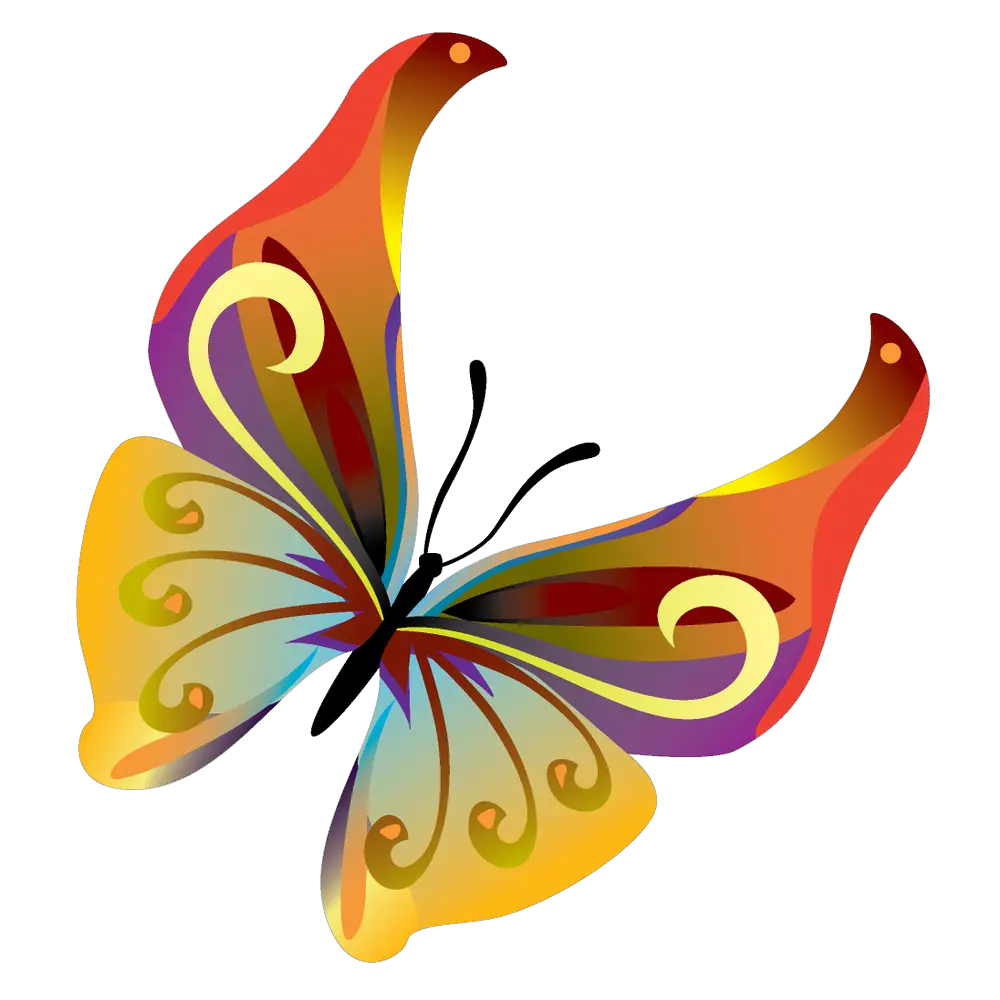 Butterfly Tie Png