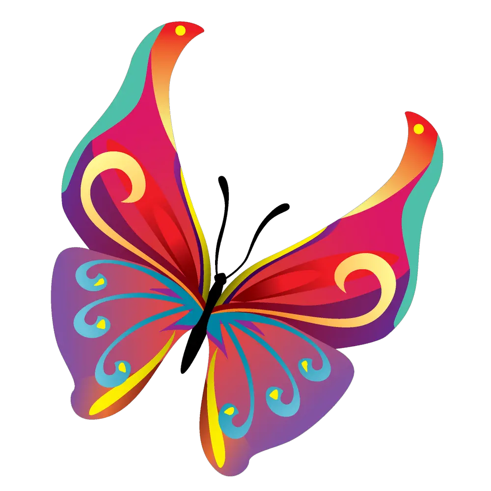 Butterfly Sketch Png