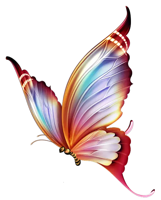 Butterfly Png Photo