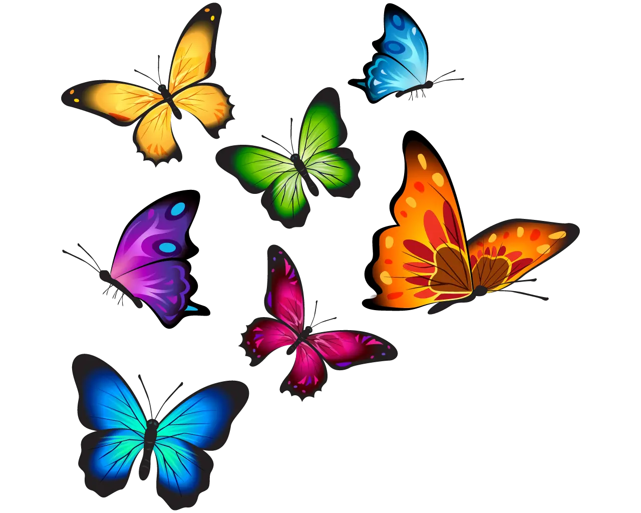 Butterfly Png Pic