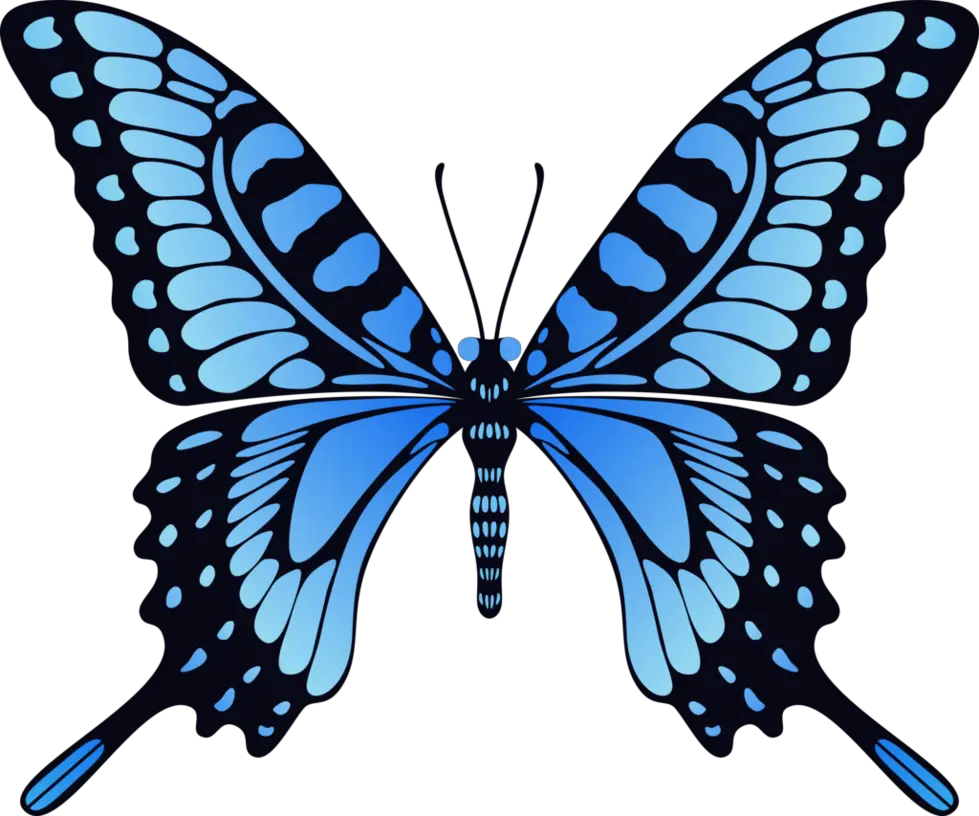 Butterfly Png For Photoshop