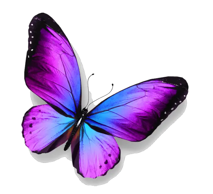 Butterfly Png Effect