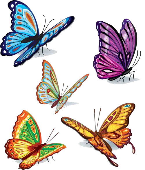 Butterfly Png Colorful
