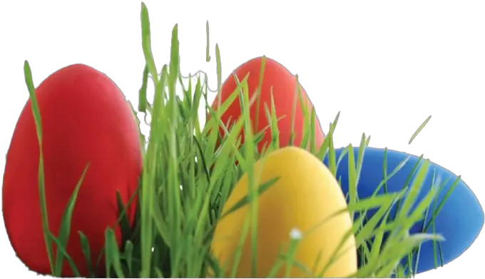 Easter Egg Grass Png Photos Easter Egg Basket Png Easter Grass Png png