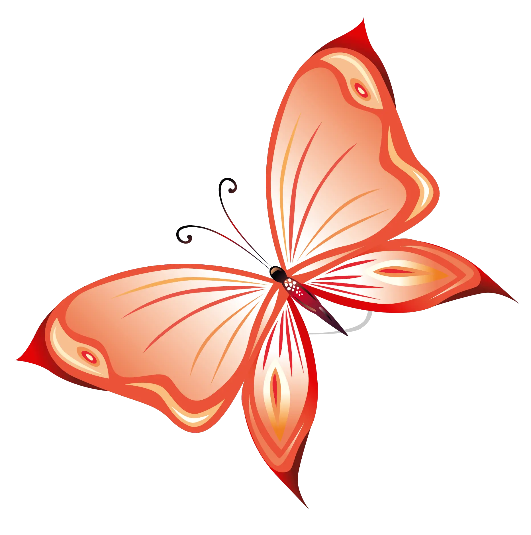 Butterfly Pic Png