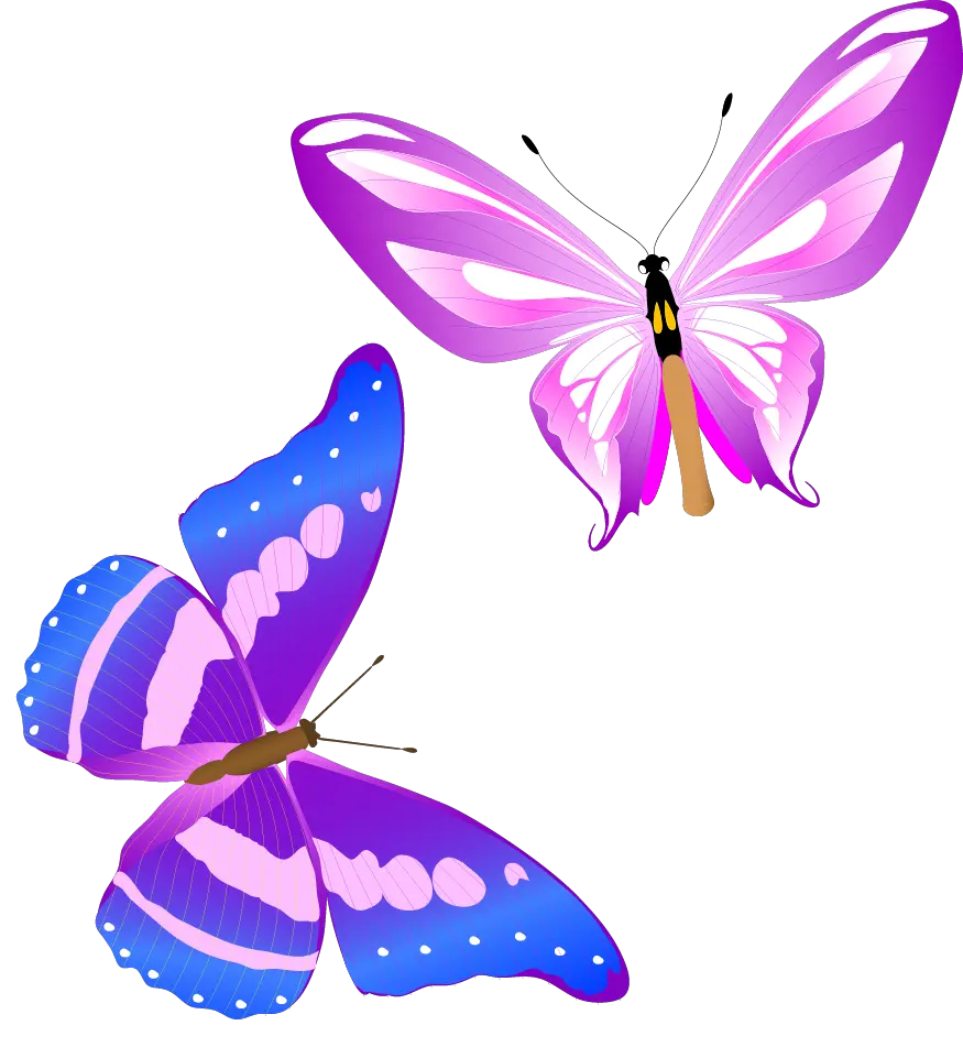 Butterfly Painting Png