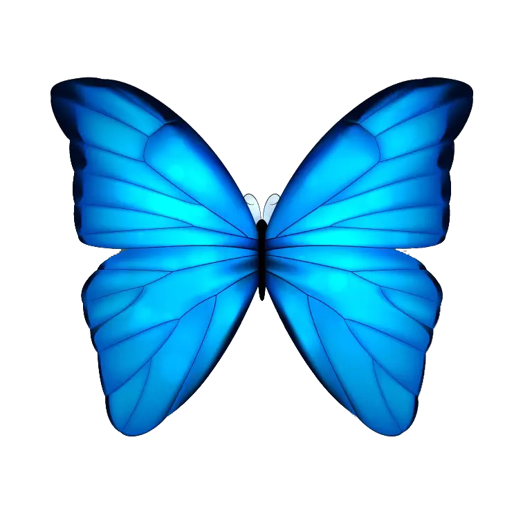 Butterfly Net Png