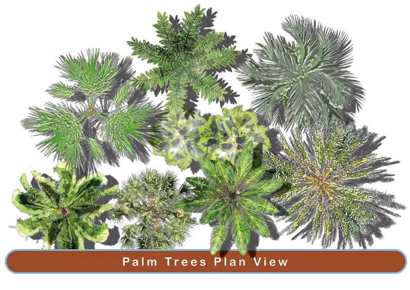 Garden Png Top Landscape Top View Png Trees In Plan Png