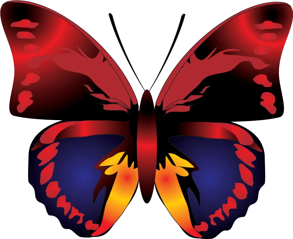 Download Butterfly Png Image Hq In Different Butterfly Cartoon Clipart Png Butterfly Png Transparent png