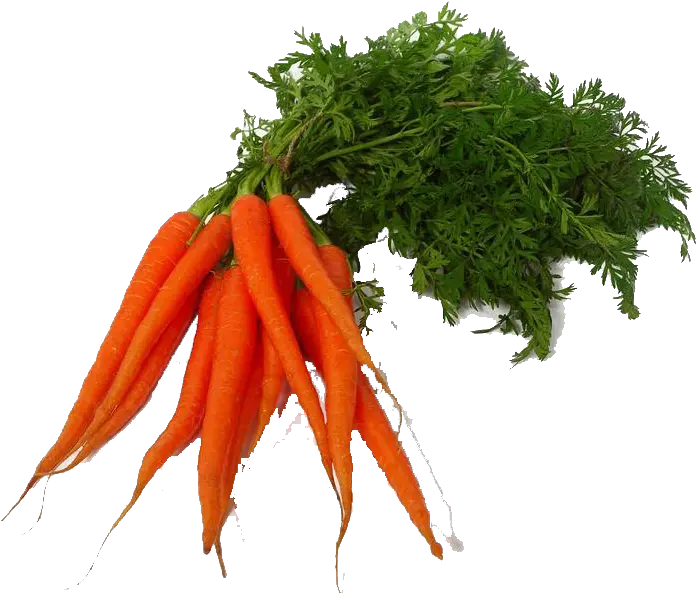 Carrot Png Transparent Images Transparent Vegetable Photo Png Carrot Transparent Background
