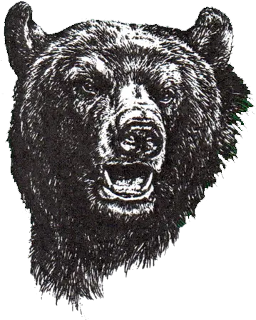 North Carolina Bears U2013 Deaf Sports Logos North Carolina School For The Deaf Bears Png Bear Logos