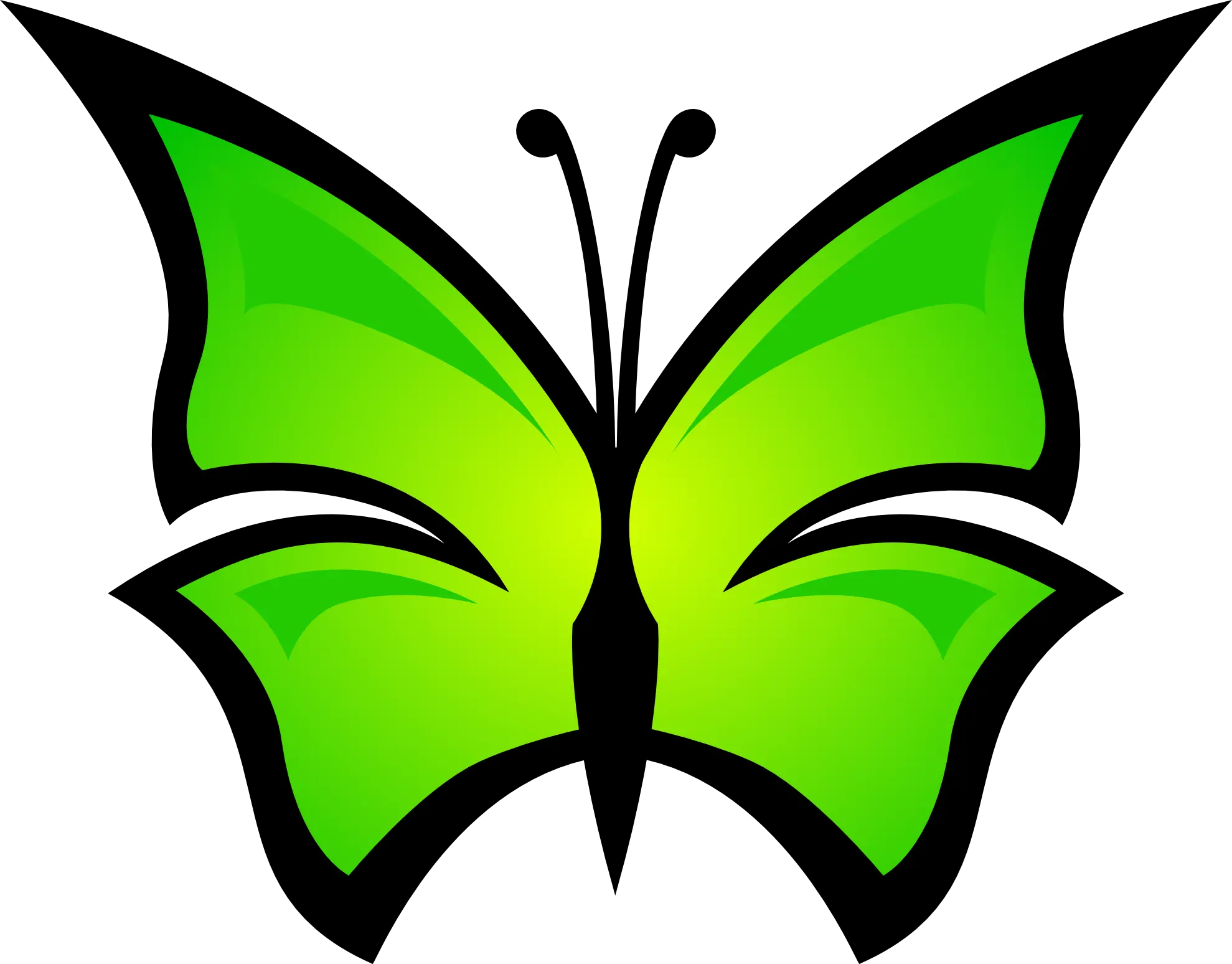 Butterfly Graphic Png
