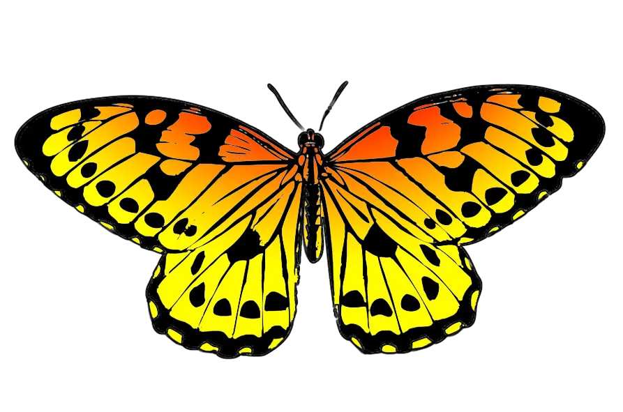Butterfly Clipart Png Black And White