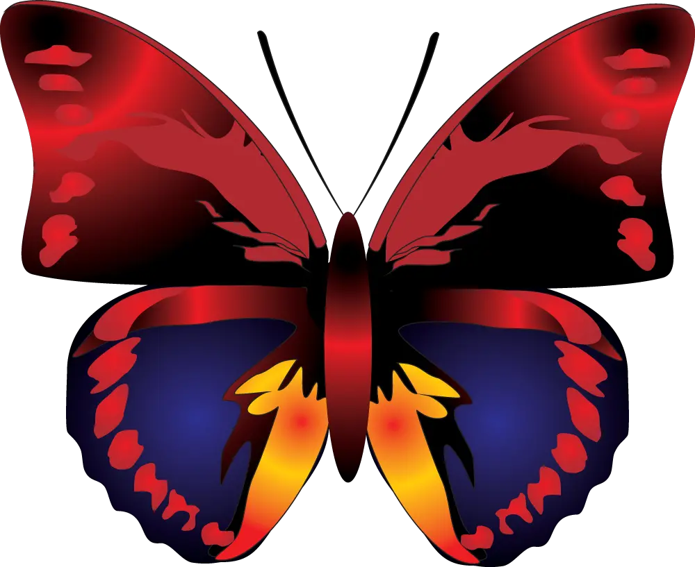 Butterfly Border Design Png