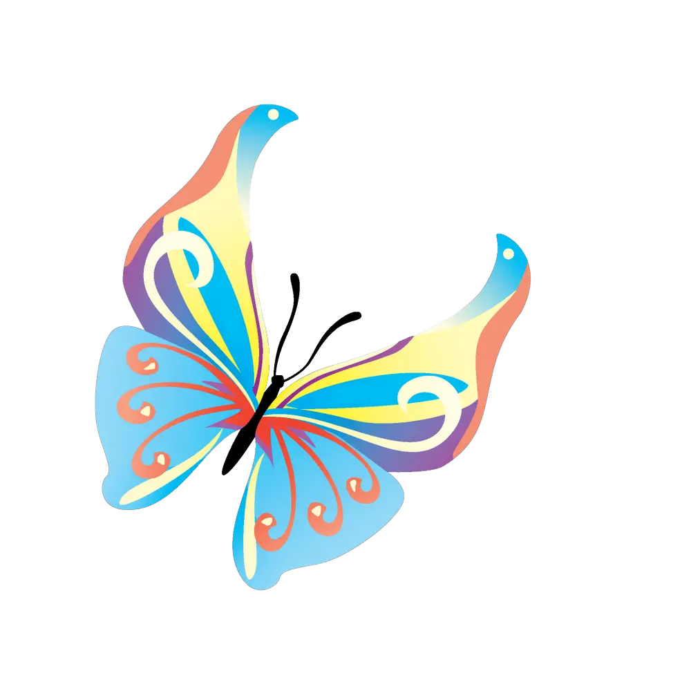 Butterfly Black And White Png