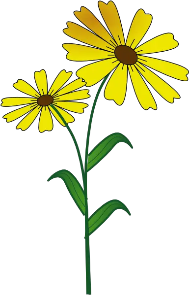 Download Yellow Daisy Border Dromiai Top Png Yellow Daisy Clipart Daisy Png