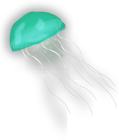 Download Jellyfish Png Picture For Designing Projects Free Jelly Fish Gif Png Transparent Jellyfish