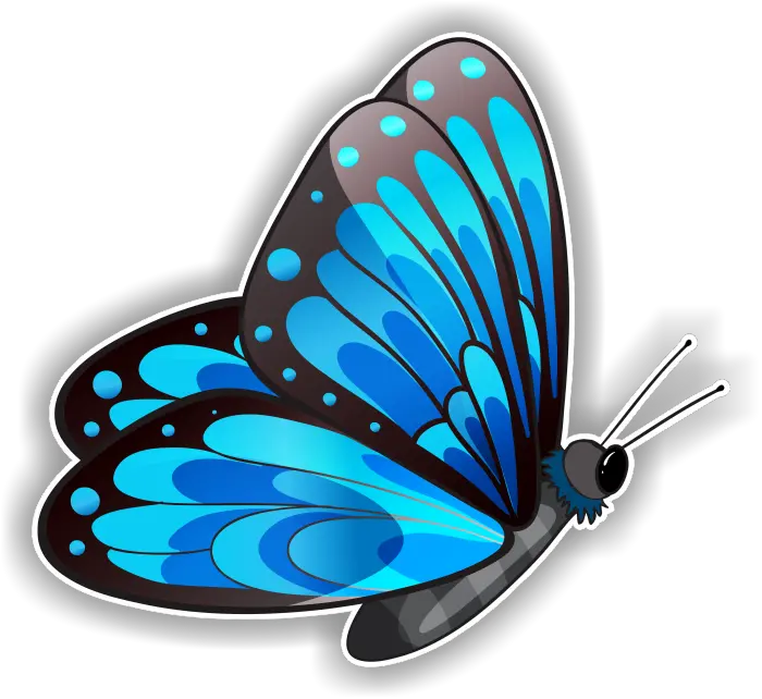 Black Butterfly Clipart Png