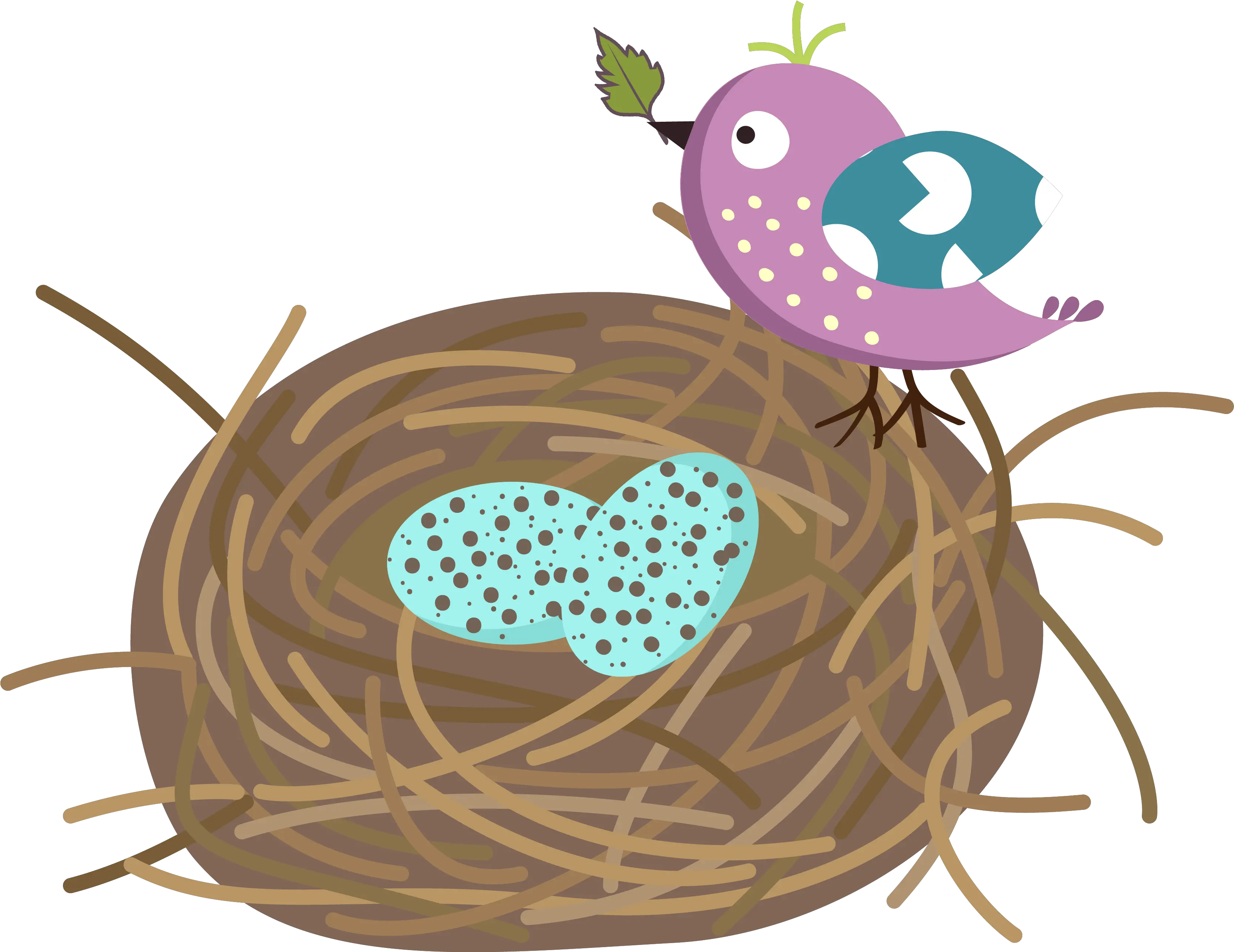 White Download Bird Nest Clipart Cartoon Birds Nest Clipart Png Bird Nest Png png