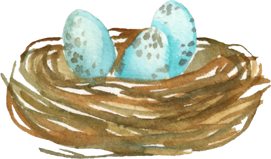 Cartoon Cute Bird Nest Transparent Bird Nest Full Size Pottery Png Bird Nest Png png