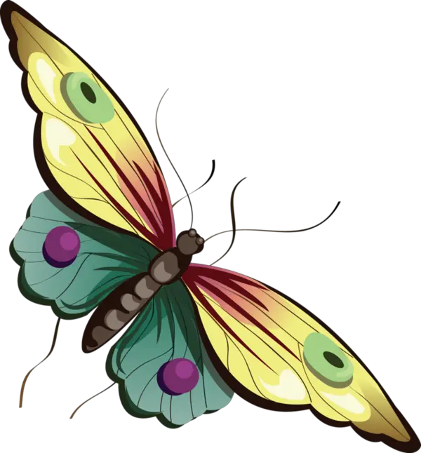 Butterfly Png Images Free Download