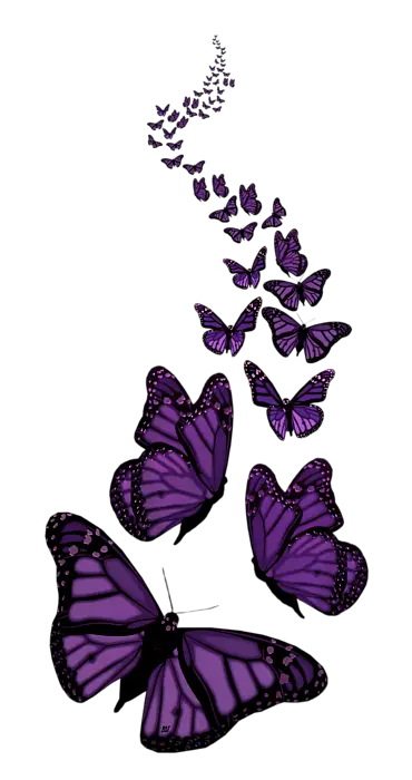 Butterfly Line Art Png