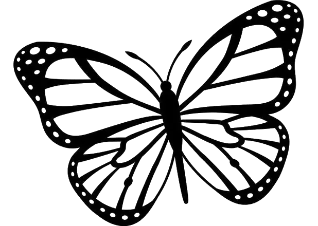 Butterfly Gas Stove Png