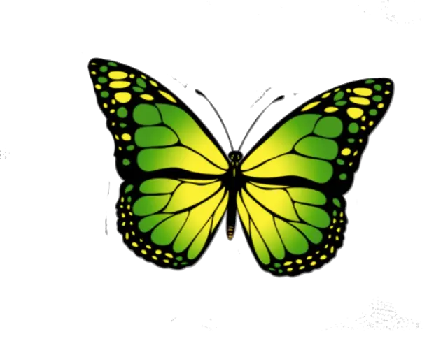 Butterfly Heart Png