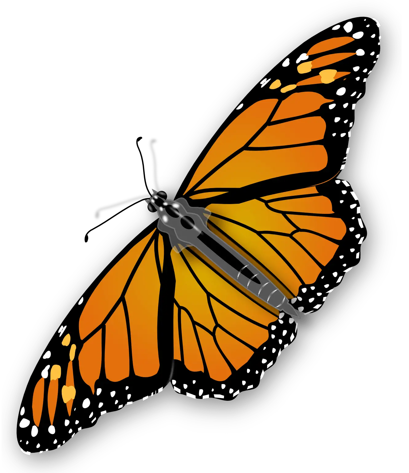 Transparent Flying Butterflies Png