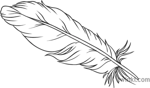 White Feather History Wwi Symbolism Secondary Black And Clipart Black And White Feather Png Feather Drawing Png