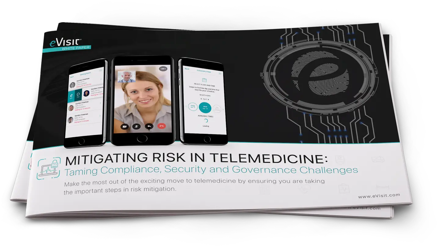 Mitigating Risk In Telemedicine Taming Compliance Security Online Advertising Png Risk Png
