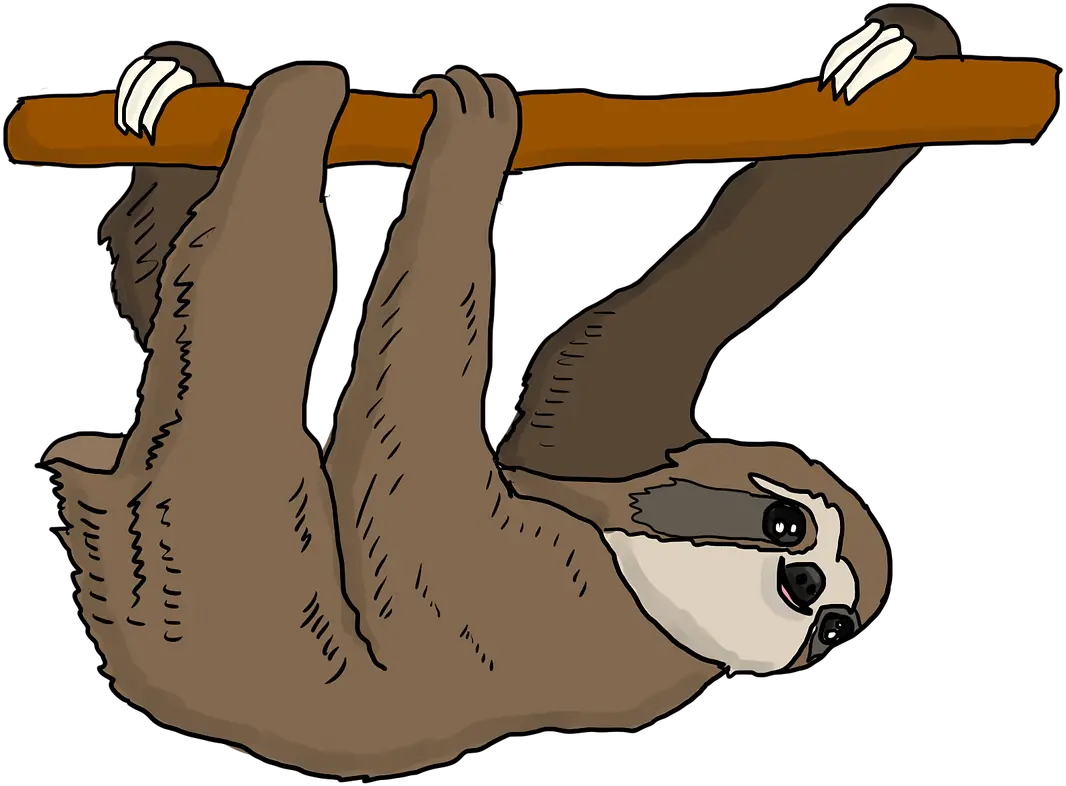 Sloth Tree Hanging Doesnt Matter How Slowly You Go As Long Png Sloth Png