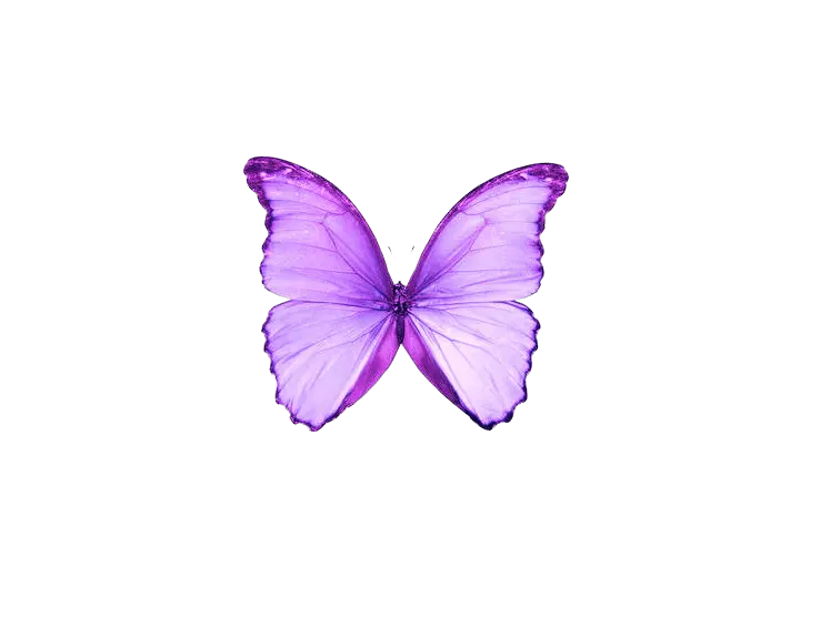 Neon Butterfly Png Download