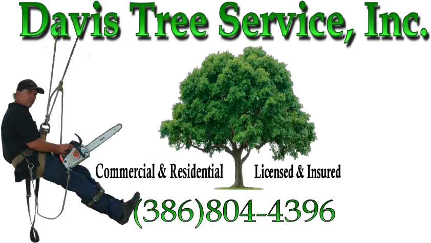 Tree Logou2013davis U2013 Davis Tree Service Tree Removal Tree Service Logo Png Tree Logos png