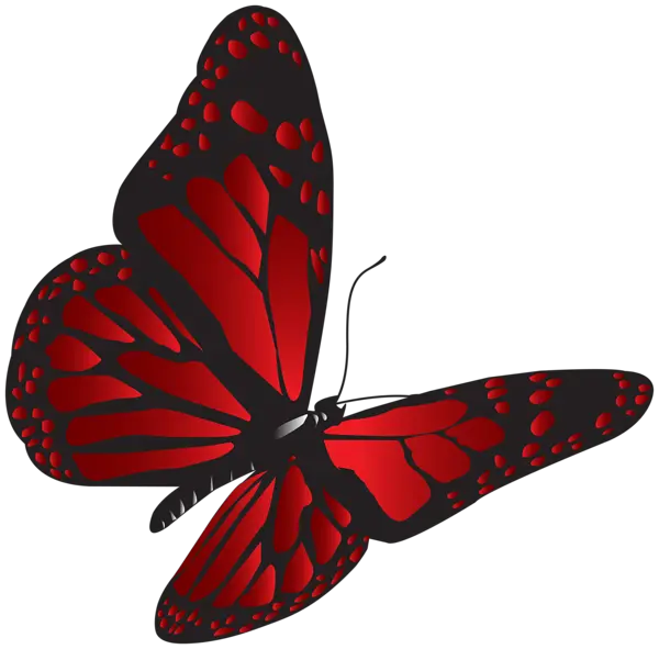 Magical Butterfly Png