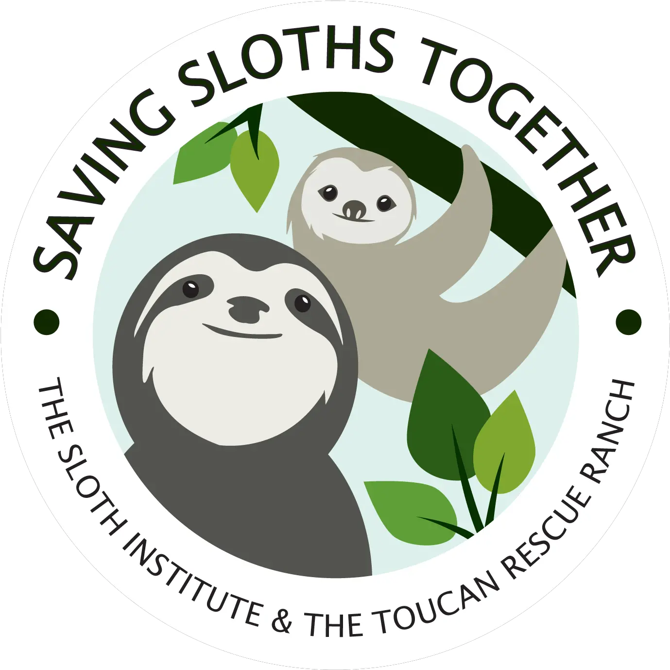 Rainforest Clipart Sloth Picture 1972690 Sloths Logo Png Sloth Png