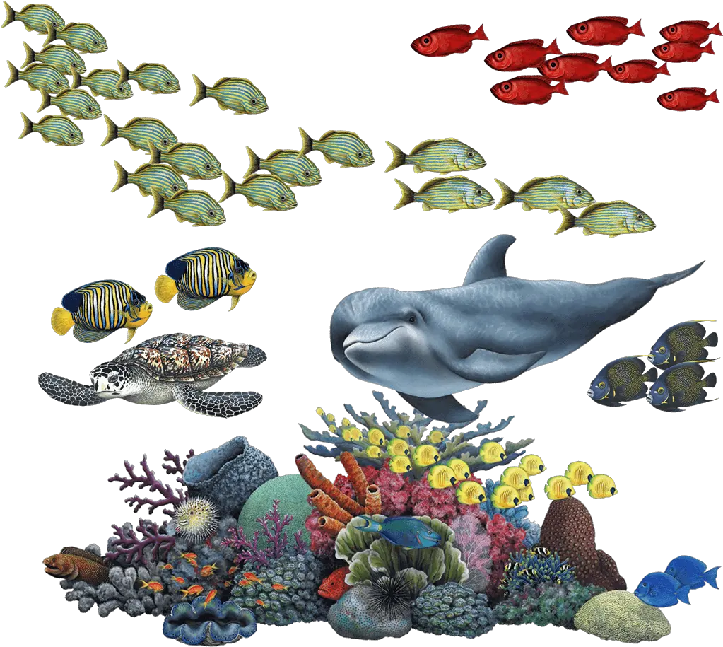 Coral Reef Tropical Fish Mural Coral Reef Transparent Background Png Coral Png