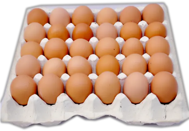 Eggs Carton Png Many Eggs In A Crate Eggs Png