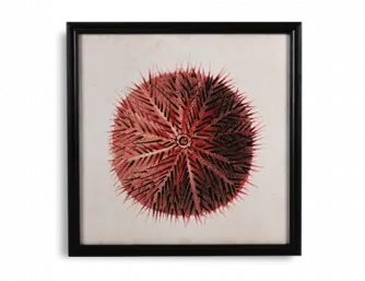 Wall Art Picture Frame Png Sea Urchin Png