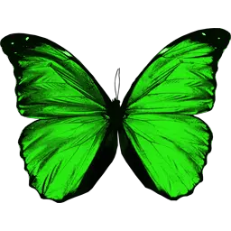 Butterfly Black Png