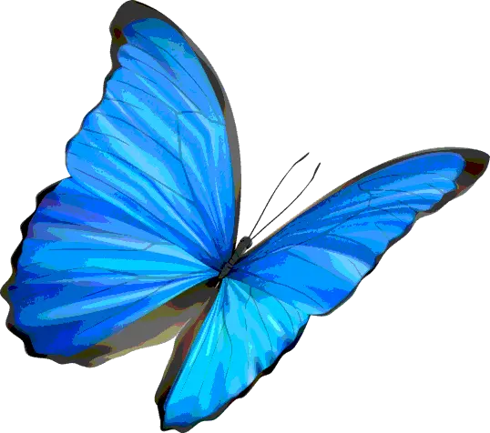 Glowing Butterfly Png For Picsart