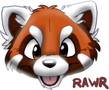 Red Panda Cartoon Red Panda Face Png Red Panda Png