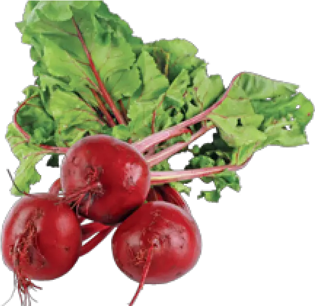 Beet Pick It Try Like Preserve Red Vegetable That Grows Underground Png Beet Png