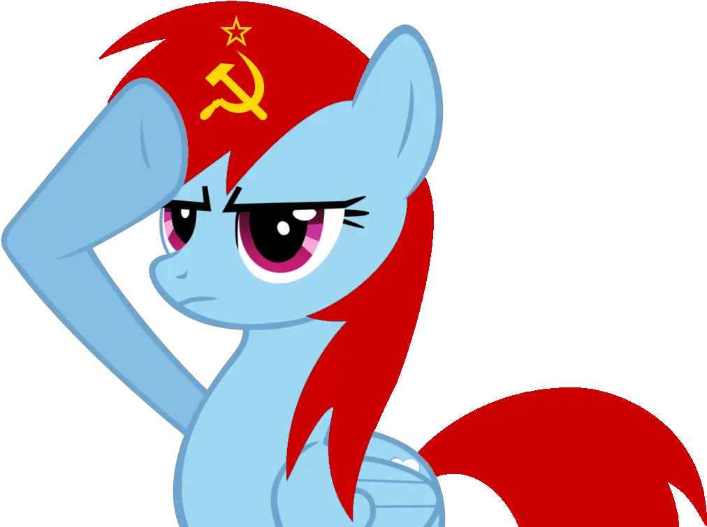 Little Poney Ussr Flag Of The Soviet Union 1029x777 Gray My Little Pony Png Soviet Flag Png