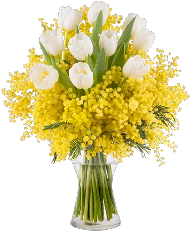 Bouquet Of Tulips With Mimosa Mimosa Bouquet Png Mimosa Png