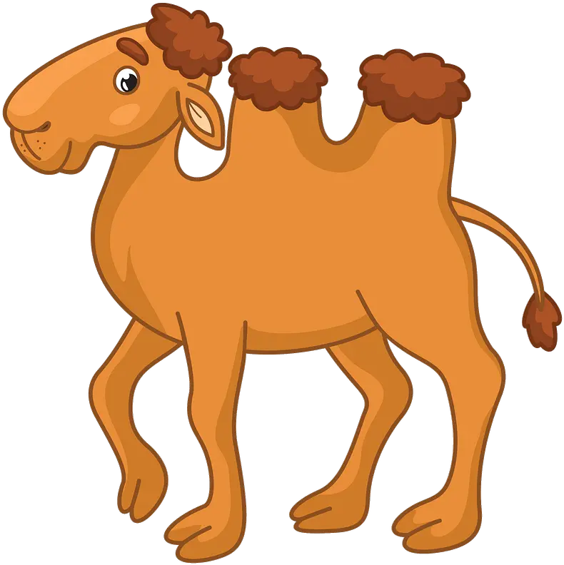 Bactrian Camel Clipart Clip Art Camel Png Camel Transparent